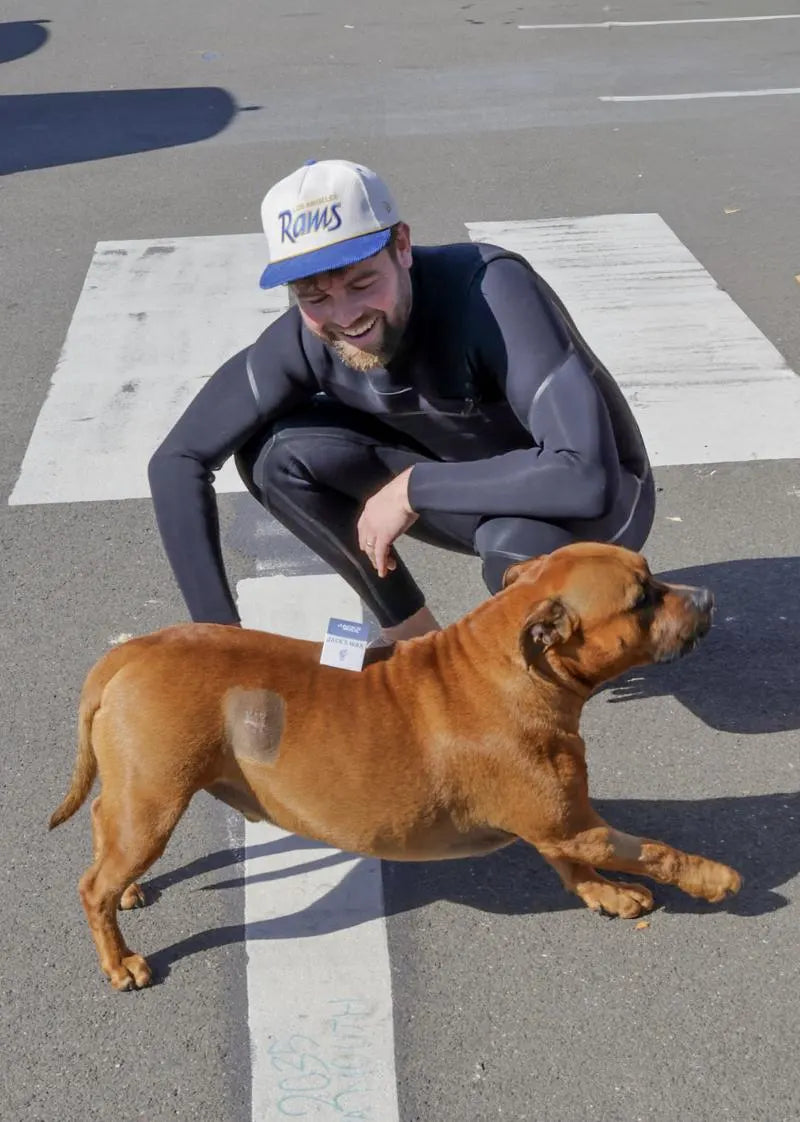 Jack's Wax Surf Wax 80g